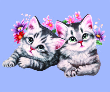 萌宠 猫 卡通猫 手绘 明信片