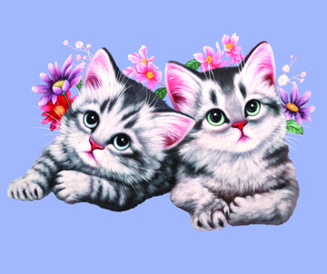 萌宠 猫 卡通猫 手绘 明信片
