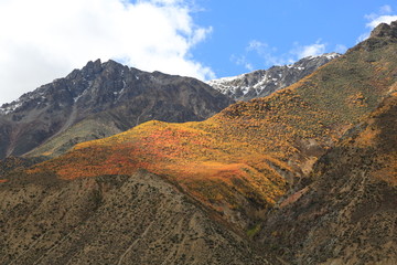 彩色峡谷 自然风光