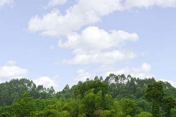 绿色山林 山区树林 田野风光