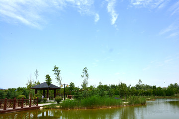 温泉河湿地公园