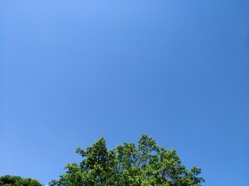 蓝色天空