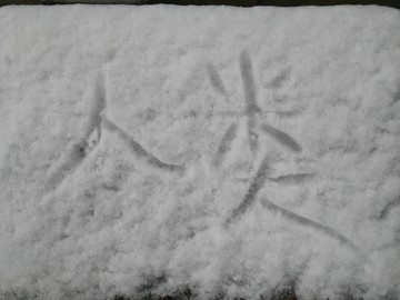 雪字 雪景 下雪