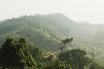 长龙风景