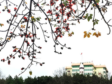 广州中医药大学