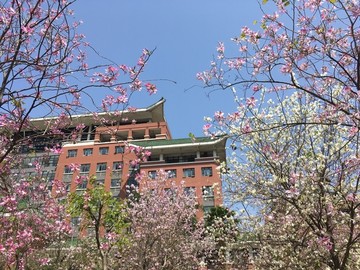 华南农业大学