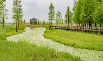 青西郊野公园