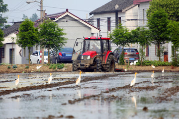 农机 水田 耕种