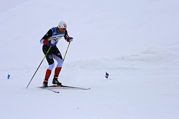 冬季越野滑雪运动