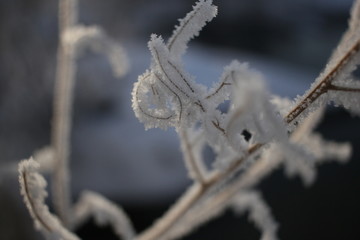雾淞 雪景 冰天雪地 奇观 玉