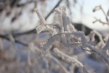 雾淞 雪景 冰天雪地 奇观 玉