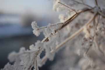 雾淞 雪景 冰天雪地 奇观 玉