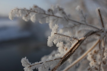 雾淞 雪景 冰天雪地 奇观 玉