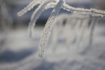 雾淞 雪景 冰天雪地 奇观 玉