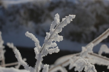 雾淞 雪景 冰天雪地 奇观 玉