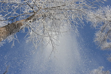 雾淞 雪景 冰天雪地 奇观 玉