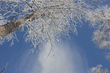 雾淞 雪景 冰天雪地 奇观 玉