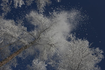 雾淞 雪景 冰天雪地 奇观 玉