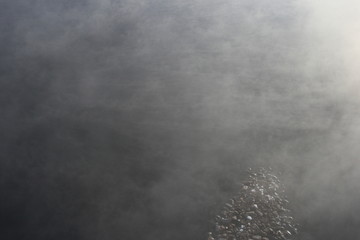 雾 蒸汽 仙境 云 背景 纹理