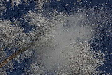 雾淞 雪景 冰天雪地 奇观 玉