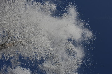 雾淞 雪景 冰天雪地 奇观 玉