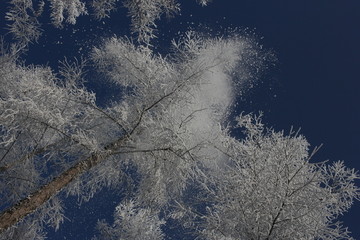 雾淞 雪景 冰天雪地 奇观 玉