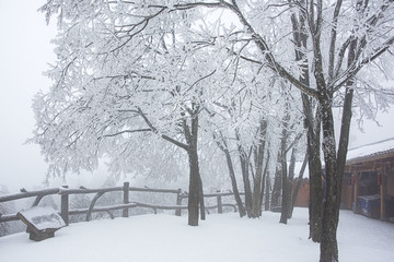 张家界雾凇雪景