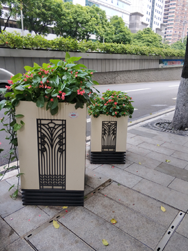 城市花坛
