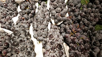 黑葡萄水果