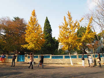 青岛市 海滨风光 八大关