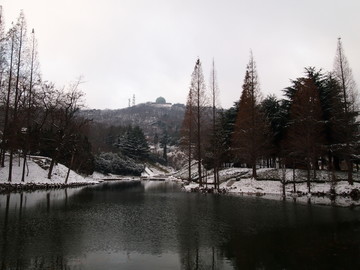 青岛市 太平山雪景 植物园
