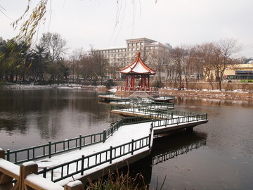 青岛市 中山公园雪景