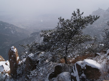 青岛市 城阳 三标山 雪景