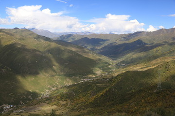 高山草甸