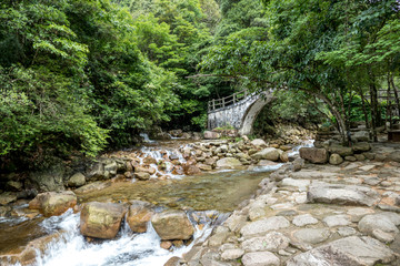 姑婆山小溪流