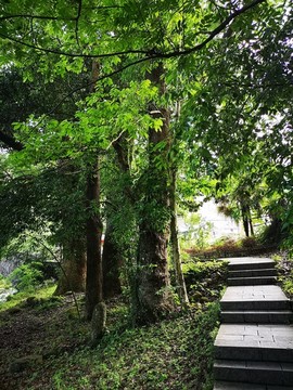 景区步道