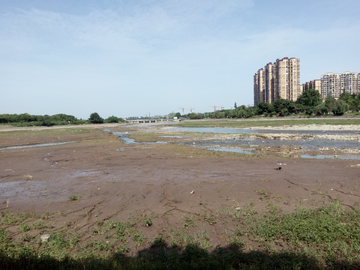 东湖湿地公园风景