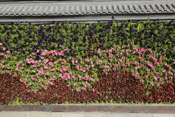 花墙 植物墙 绿植墙