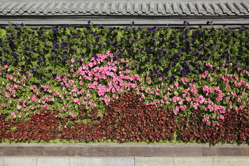 花墙 植物墙 绿植墙