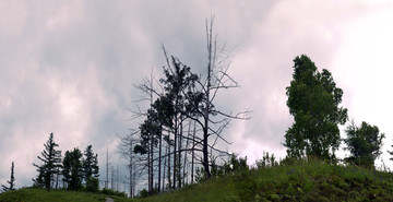 阿尔山驼峰岭天池