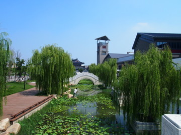 青岛市 胶州市 少海湿地景区