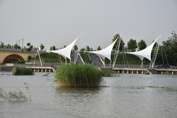 邻水景观