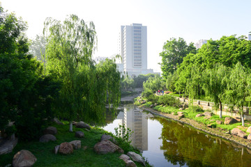 公园小河 绿色背景