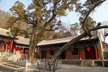 交城县 卦山景区 天宁寺