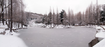 青岛市 植物园 太平山 雪景