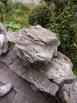公园岩石
