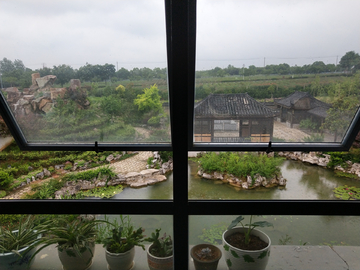 景区公园池塘雨后风景