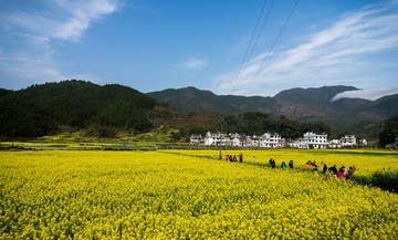 乡村旅游