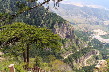 北岳恒山姊妹松