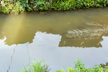鲤鱼溪